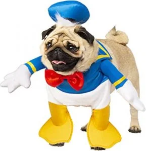 disfraz de pato donald para perro
