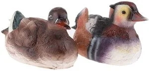 patos que flotan
